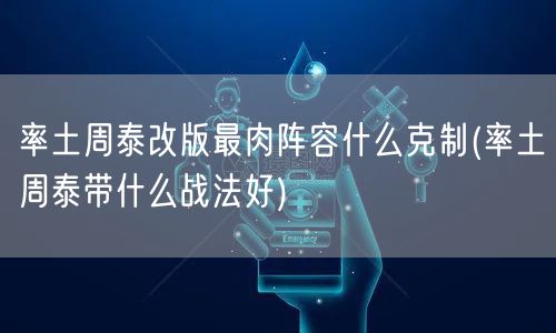 率土周泰改版最肉阵容什么克制(率土周泰带什么战法好)