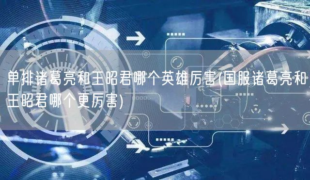 单排诸葛亮和王昭君哪个英雄厉害(国服诸葛亮和王昭君哪个更厉害)