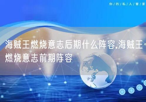 海贼王燃烧意志后期什么阵容,海贼王燃烧意志前期阵容
